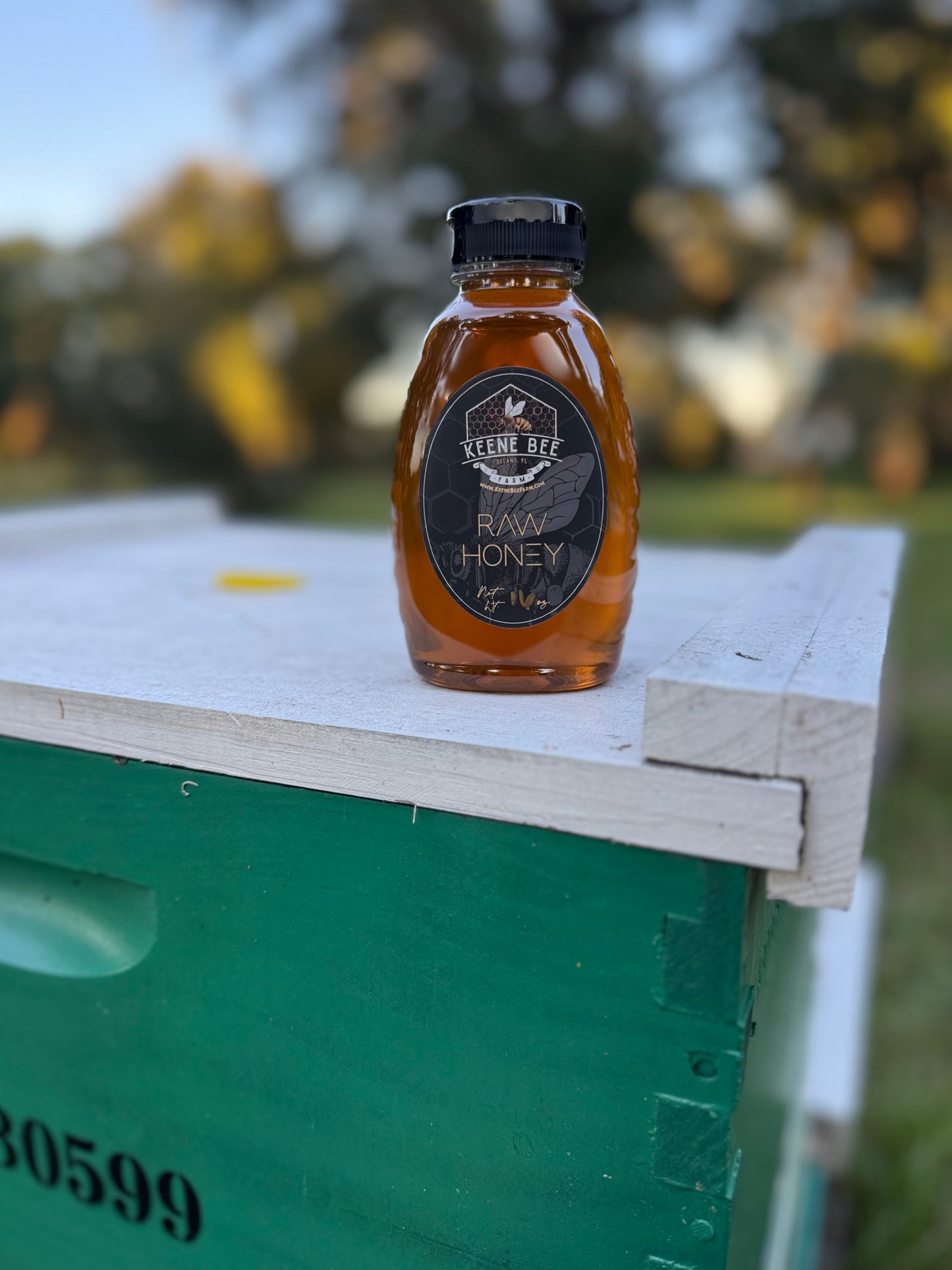 Golden Rain Tree Honey