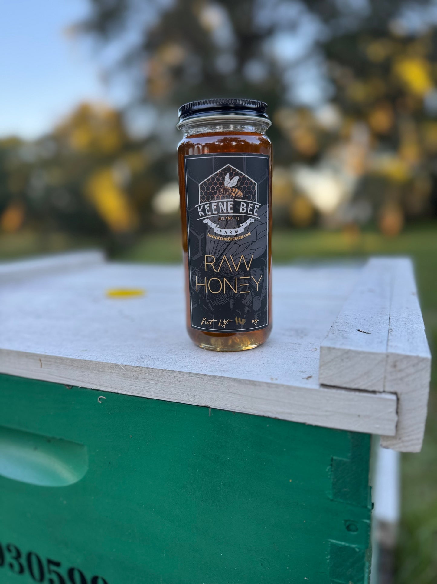 Golden Rain Tree Honey