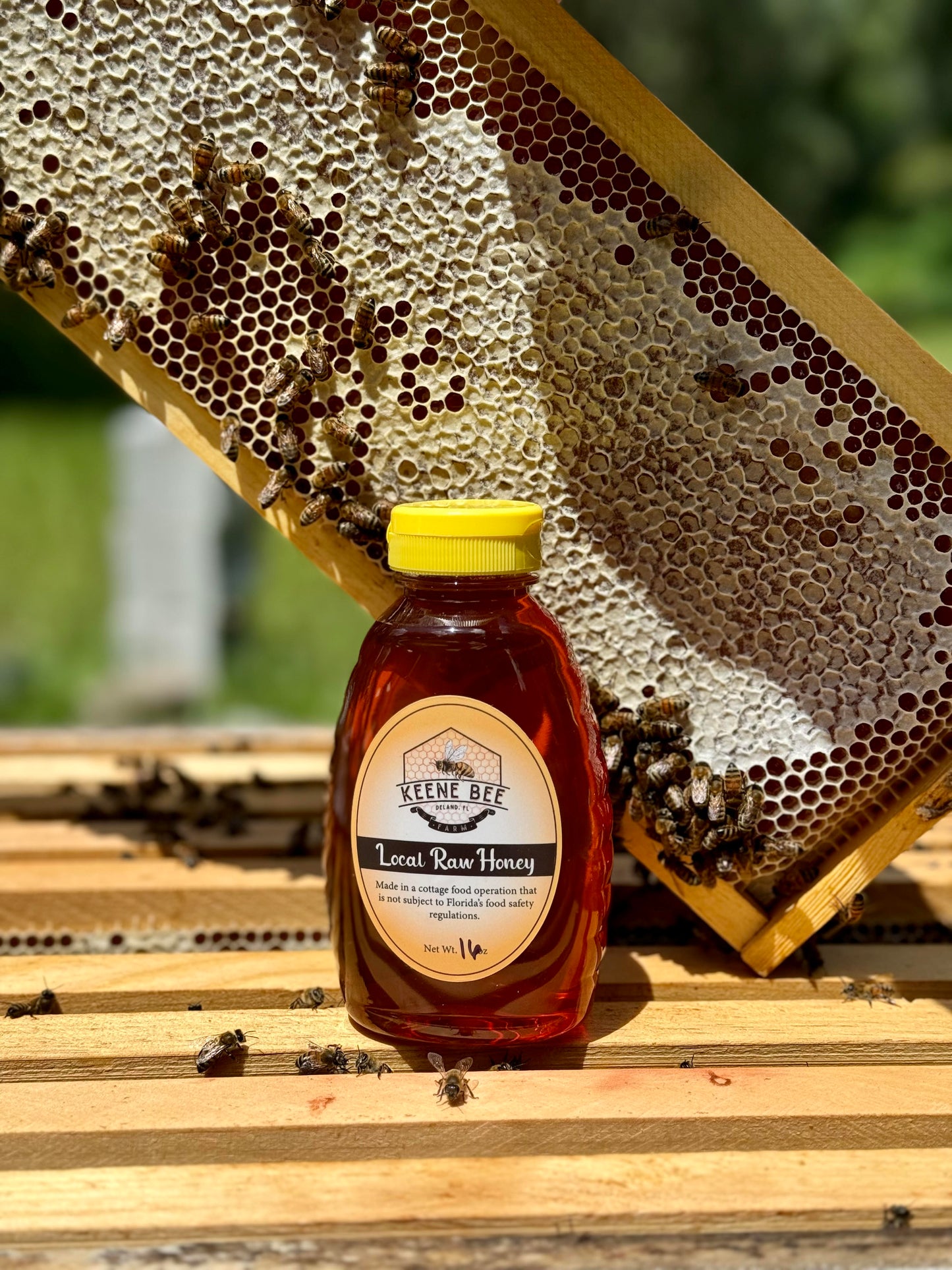 Palm Honey